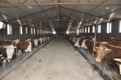 聚力精準扶貧 秦州發(fā)展畜牧養(yǎng)殖助力農民增收與牧場工程設計